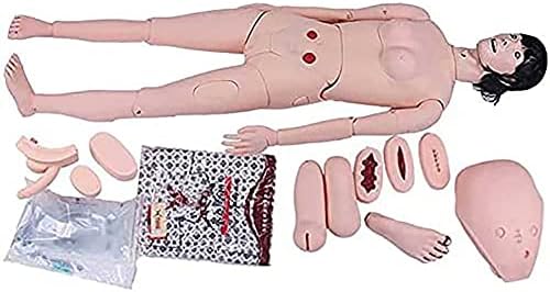 WFZY Симулатор на Грижите за Пациентите PVC Анатомическая Модел на Човека, Многофункционален модул за Обучение Манекен, за да се